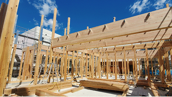 川崎市立新作小学校増築工事 神奈川県産スギのJAS構造材を用いた公共建築